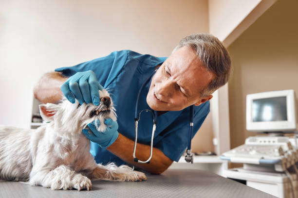 Best Tooth Pain Emergency Relief  in Hopewell, NJ